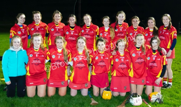 Horeswood V Cloughbawn camogie