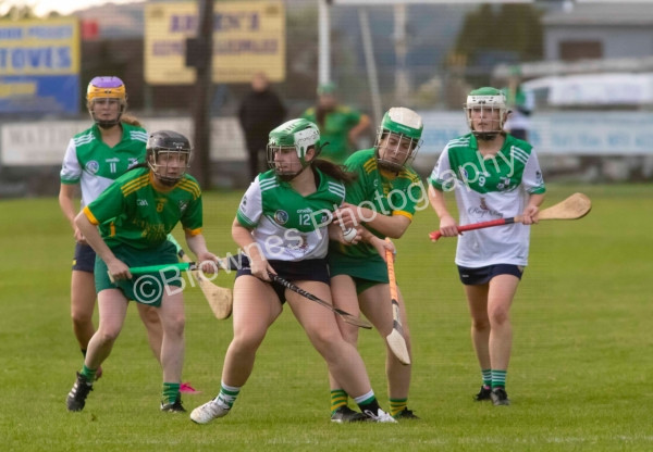 Marshalstown Castledockrell V St James camogie junior A final