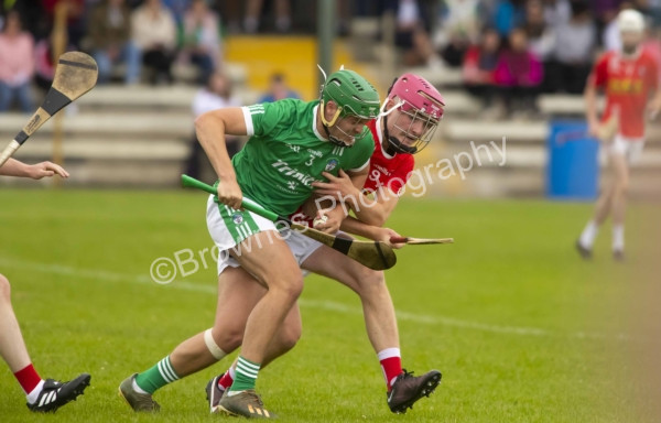 Gusserane V Horeswood Intermediate hurling